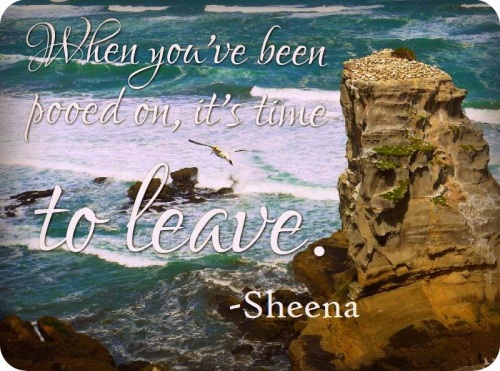 the great sheena quote